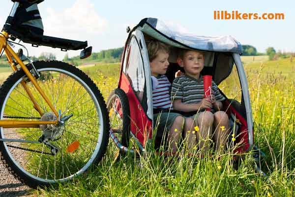 9 Best Bicycle Trailers of 2019 and Buyer’s Guide